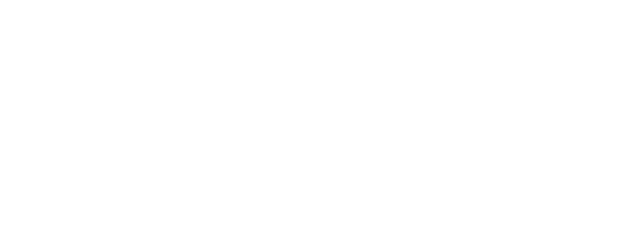 Overlay Logo